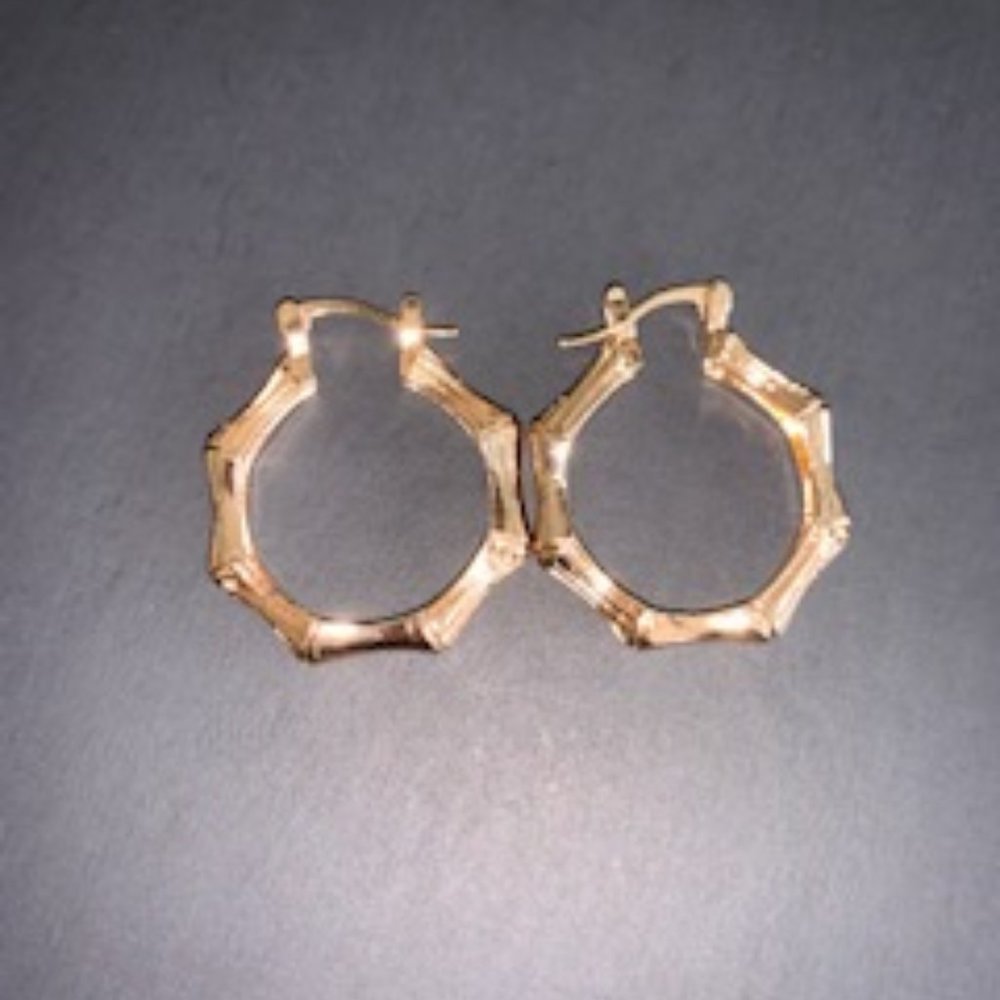 Small Bamboo Style Earrings